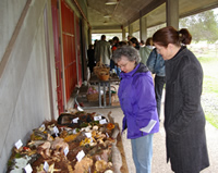 Bear Valley Fungus Fair attendees